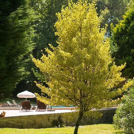 Pedreiras Rias Baixas Holiday home *