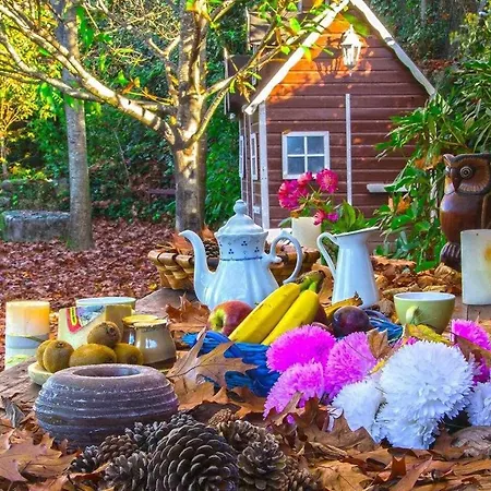 Holiday home Cas Do Mestre Con Encanto
