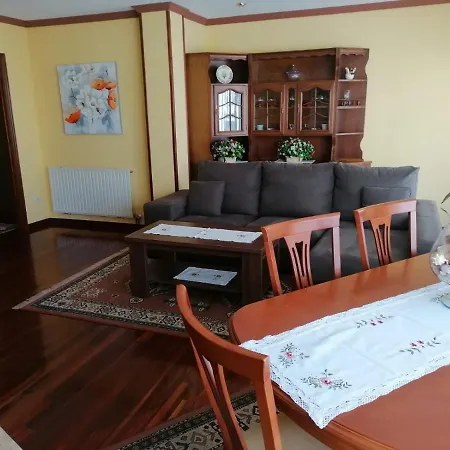 Piso As Camelias Apartment *