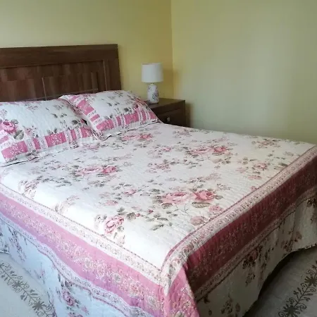 Piso As Camelias Apartment