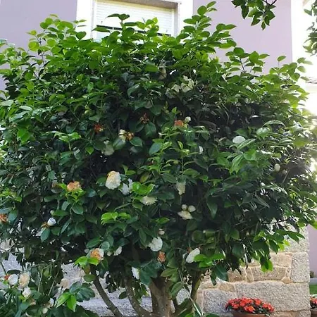 Casa Do Maruxo Pontevedra