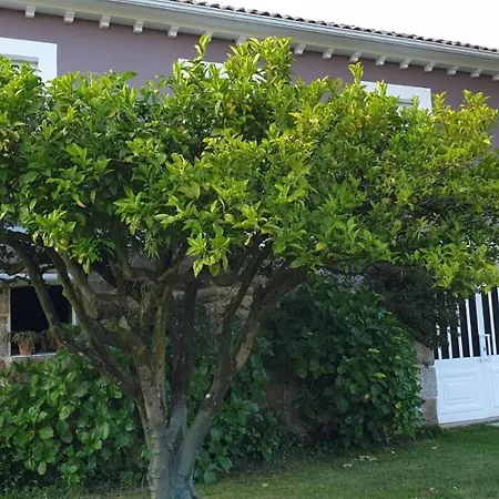 Holiday home Casa Do Maruxo Pontevedra