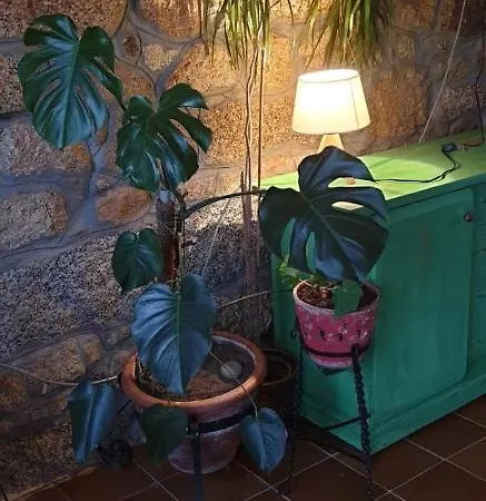 Casa Do Maruxo Pontevedra