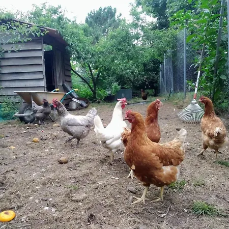 Homestay Pepe, Casa Compartida Pontevedra