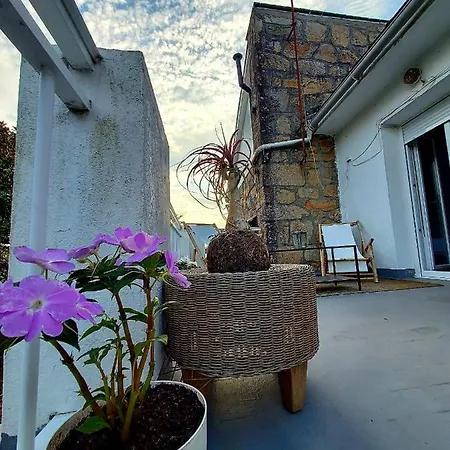 Homestay Pepe, Casa Compartida *