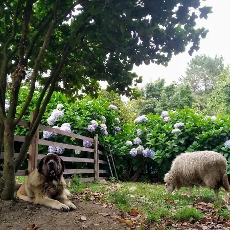 Homestay Tana, Casa Compartida