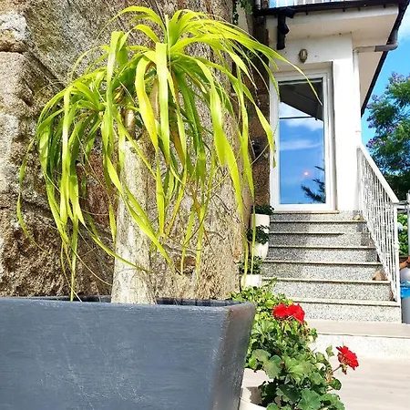 Homestay Tana, Casa Compartida