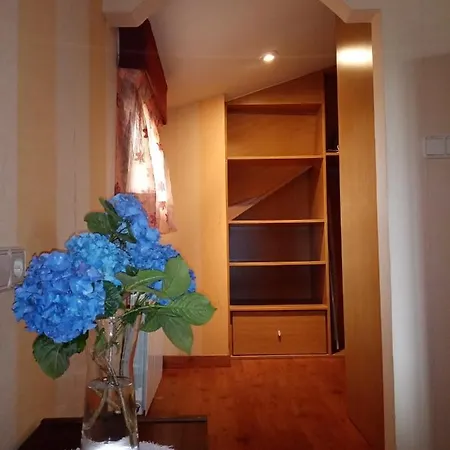 Atico Apartment Pontevedra