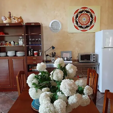 Lhamo Mandala House *