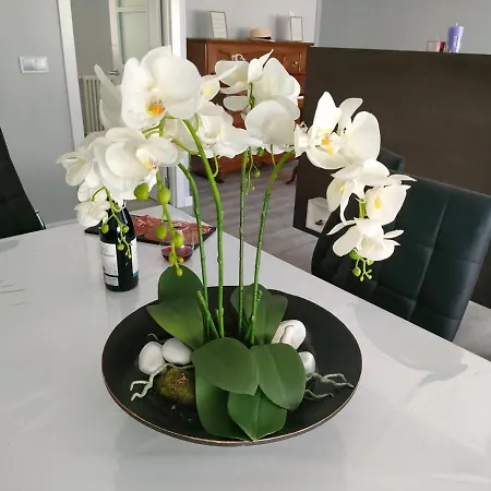 Claro De Luna Apartment
