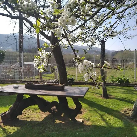 Aboucina * Pontevedra