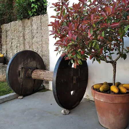 Aboucina Apartment