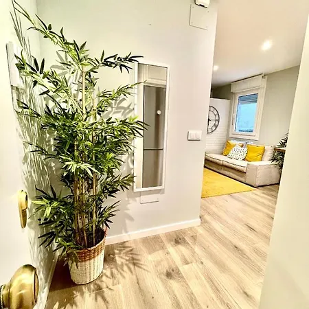 Loft Centro Apartment Pontevedra