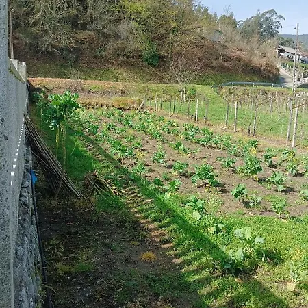 La Favorita * Pontevedra