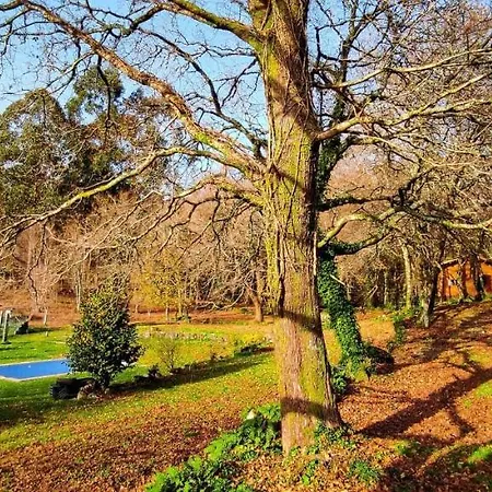 Veiga Marina Country house *