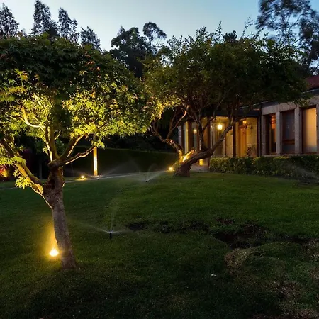 La Panera De Pucho