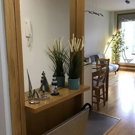 Lerez House Apartment *