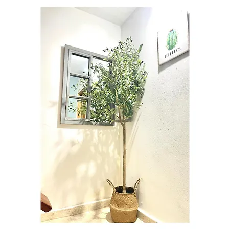 - Peregrina Family Apartment