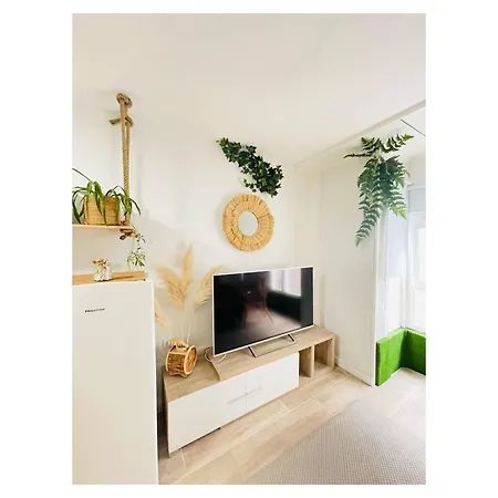 -new Loft Centro Apartment Pontevedra
