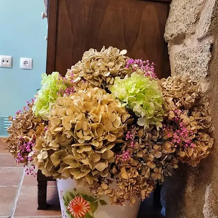 La Casita 