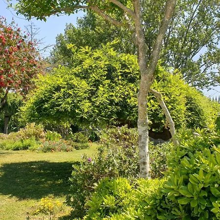 Green Garden House Guest house Pontevedra