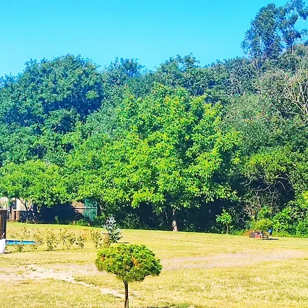 Casa Isabel, Refugio Con Vistas A La Naturaleza Pontevedra