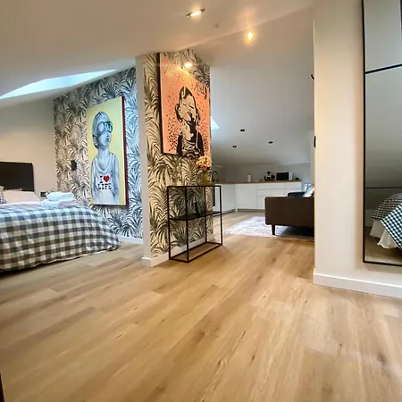 Apartment Atico En Casco Historico Pontevedra