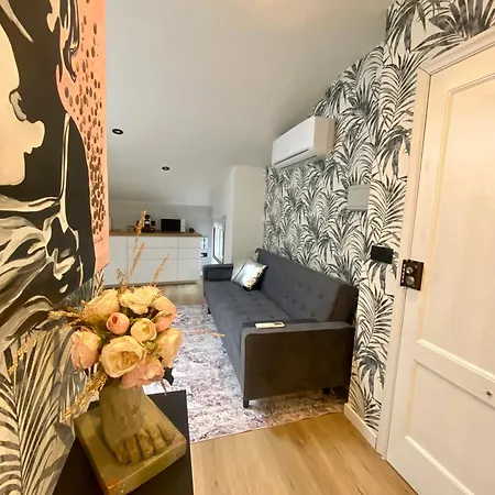 Apartment Atico En Casco Historico Pontevedra