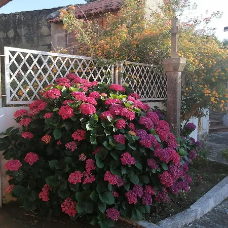 Apartment Casa Reboredo Pontevedra