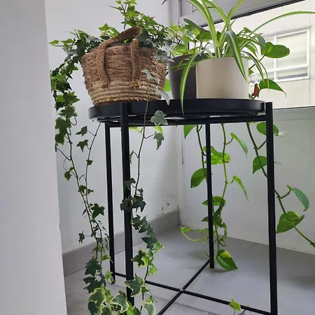 Apartment Bolboreta Pontevedra