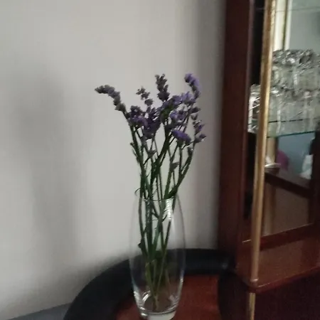 Apartment Grana Medrano *