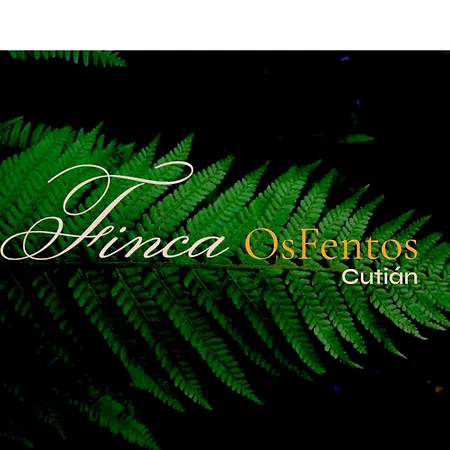 Couette-café Os Fentos Pontevedra