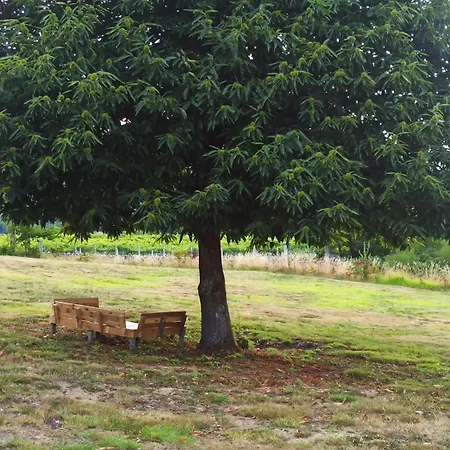 Holiday home O Outeiro Da Tia Mucha Pontevedra
