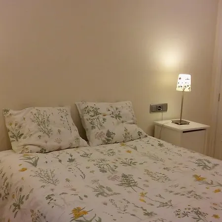 Apartment Plaza De La Peregrina Vut-po-03908