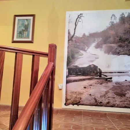 Casa de Campo Os Carballos