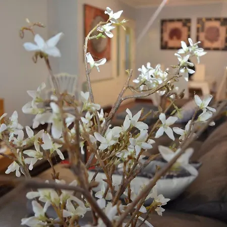 Hyp - Hortensias *