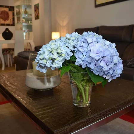 Apartment Hyp - Hortensias *
