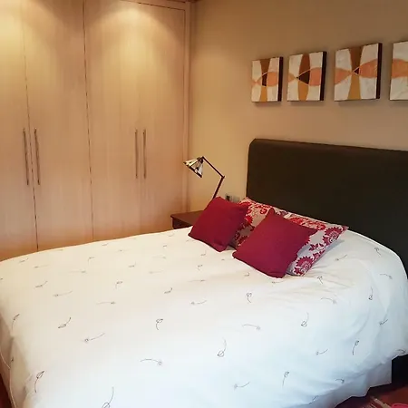 Luxury Apartment